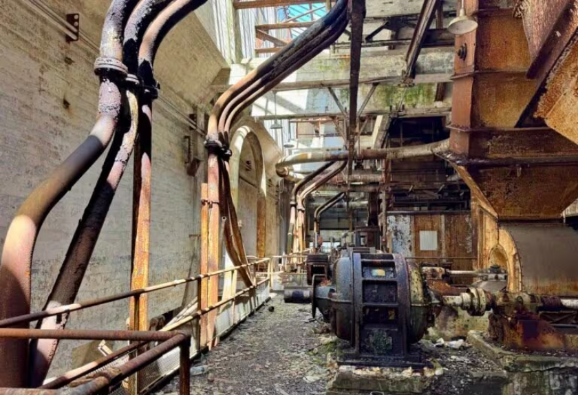 Plant Demolition Experts